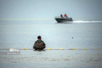 Fish hunting in Caspian Sea