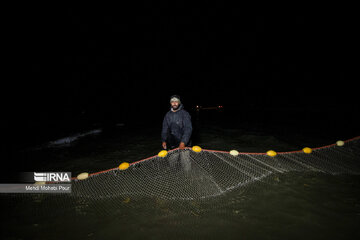 Fish hunting in Caspian Sea