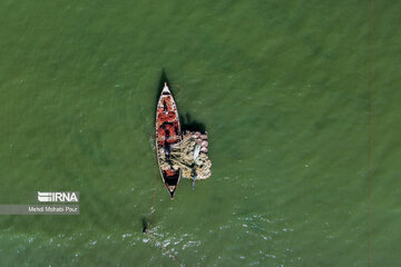 Fish hunting in Caspian Sea