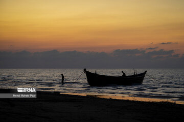 Fish hunting in Caspian Sea