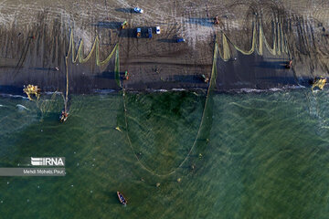 Fish hunting in Caspian Sea