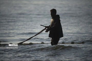 Fish hunting in Caspian Sea