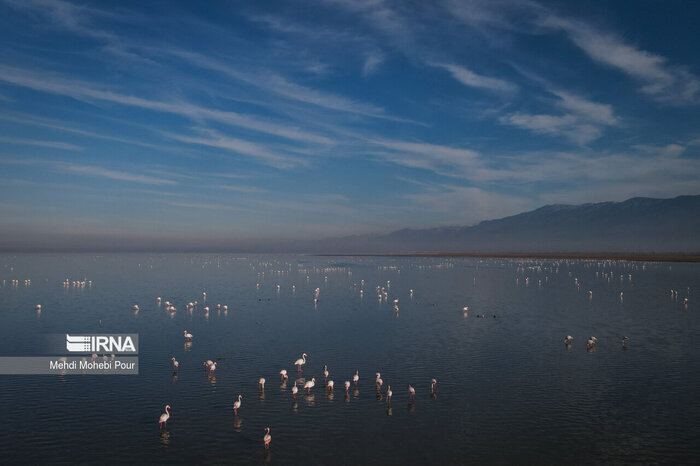 سایه مرگ بر سر میانکاله؛ از خشکسالی تا ادعای تعرض به اراضی