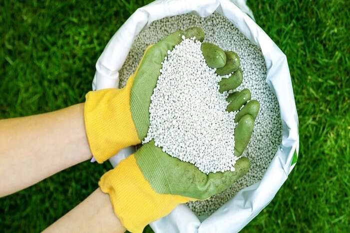 افزایش قیمت کود شیمیایی منتفی شد