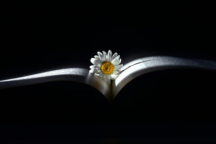 ۶ تمرین عکاسی برای فیلمبرداری بهتر (۲)