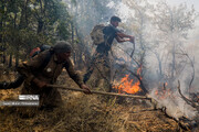 حدود ۲ هکتار از عرصه‌های جنگلی مرزن‌آباد در آتش سوخت