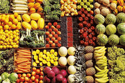 معاون جهاد کشاورزی بوشهر: زمان تعیین کد شناسه (QR code) برای محصولات سبزی و صیفی تمدید شد