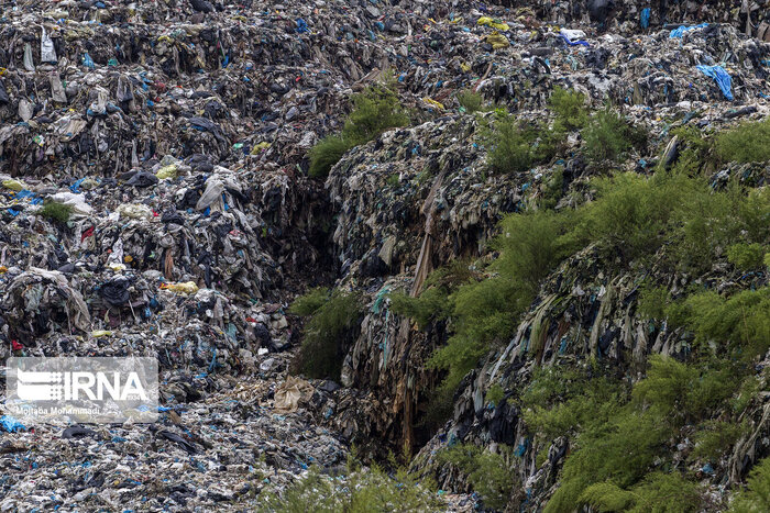 فاجعه انباشت زباله در قلب جنگل‌های هیرکانی +فیلم