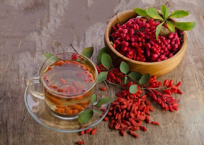 زرشک؛ نگین سرخ سفرههای ایرانی