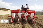 ۲۱۰ میلیارد ریال برای خرید ماشین آلات کشاورزی خراسان‌شمالی اختصاص یافت