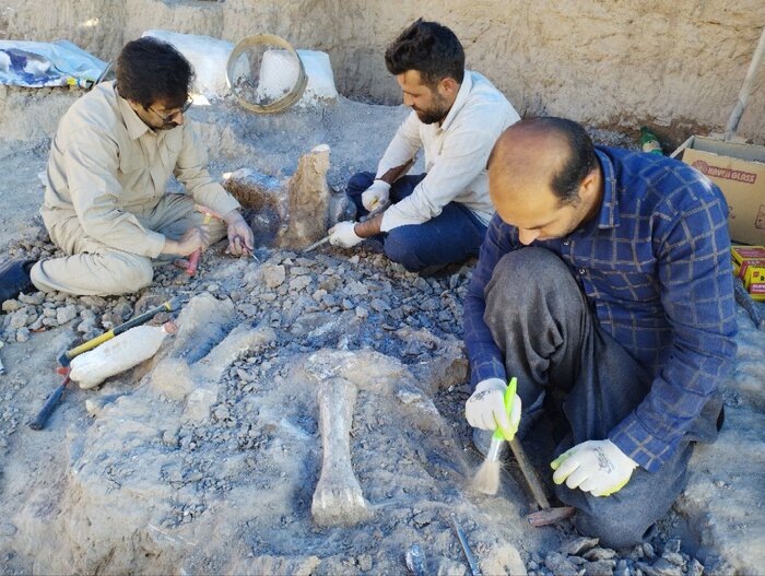 ثبت جهانی ژئوپارک مراغه چه مراحلی را طی کرده است؟