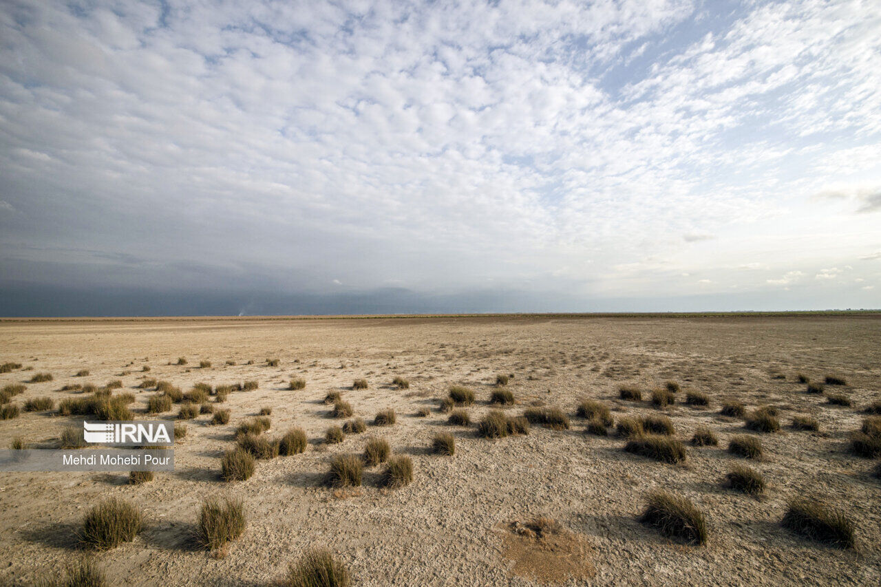 ۹۹.۸ درصد مساحت کرمان درگیر خشکسالی شدید