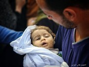 غزہ کے شہدا کی تعداد 6546 تک پہنچ گئی / 2704 بچے ہیں۔