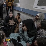 شمار شهدای غزه به بیش از ۷ هزار نفر رسید