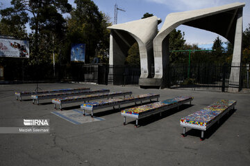 Rubik's Cube event in support of Gaza children