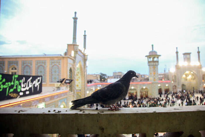 «نورین نیّرین» شاهکار امام خمینی(ره) در مدح حضرت معصومه(س)‌