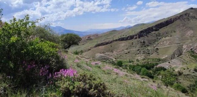 جبالبارز، داروخانه طبیعی ایران را بشناسید