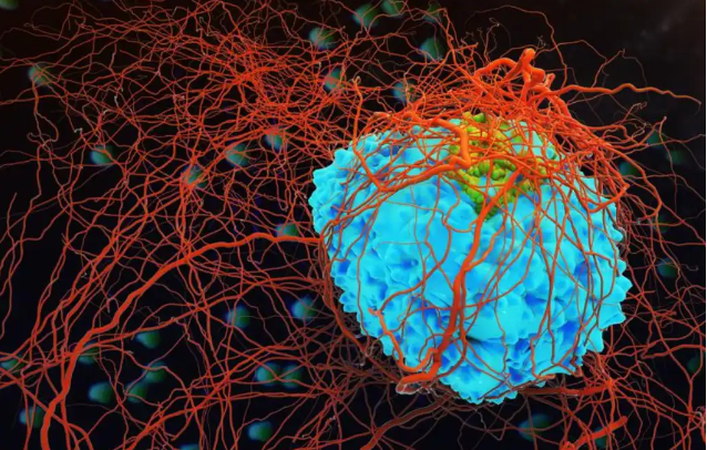 ساخت آزمایشی واکسنی که مانع از گسترش سرطان ریه میشود