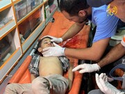 Количество жертв израильской агрессии в Газе превысило 8000 убитыми