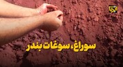 فیلم| تنها خاکِ خوردنیِ جهان در هرمزگان