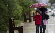 آغاز بارش باران در مازندران؛ همه به دنبال چتر