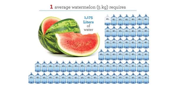 با وجود بحران آب؛ ایران رتبه نخست صادرکننده آب مجازی در خاورمیانه 5 با وجود بحران آب؛ ایران رتبه نخست صادر کننده آب مجازی خاورمیانه است