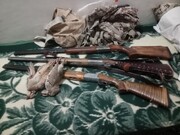 سه باند قاچاق پرندگان شکاری در استان بوشهر متلاشی شد