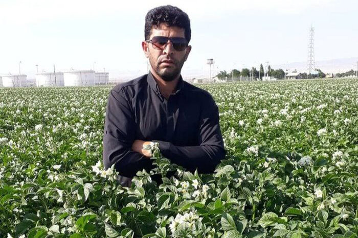 قصه تکراری افت قیمت؛ سیبزمینی روی دست کشاورزان اردبیل ماند