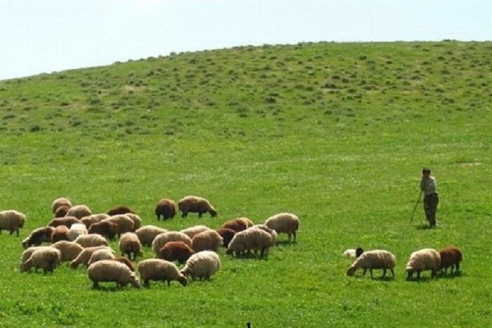 مراتع استان اردبیل در معرض تخریب