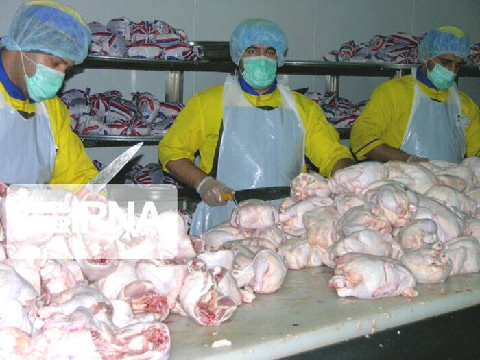 ۳۱ هزار تن گوشت مرغ در سبزوار تولید شد