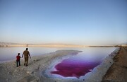 رونق صنعتی شرق شیراز نباید به خشکیدن «دریاچه مهارلو» منجر شود