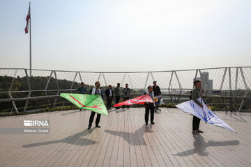 Kite-flying campaign in Tehran in support of Palestinians