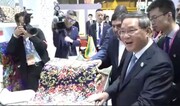 China PM tours Iran's nat’l pavilion at China Int’l Import Expo 2023