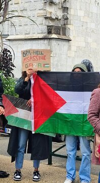 Manifestation pro-Palestine en France