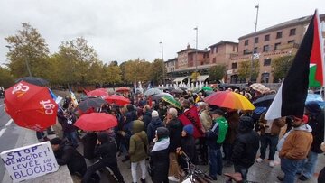 Manifestation pro-Palestine en France