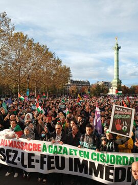 Manifestation pro-Palestine en France