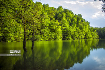 Les beautés de la province de Mazandaran, au nord de l’Iran