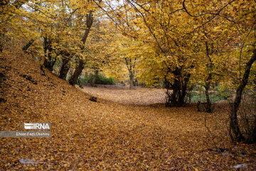 Les beautés de la province de Mazandaran, au nord de l’Iran