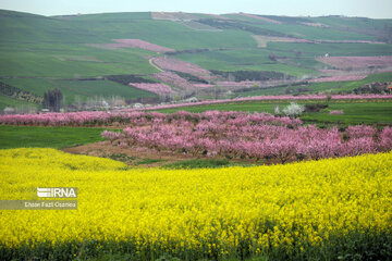 Les beautés de la province de Mazandaran, au nord de l’Iran