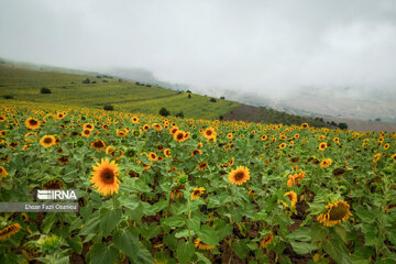 Les beautés de la province de Mazandaran, au nord de l’Iran