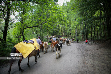 Les beautés de la province de Mazandaran, au nord de l’Iran