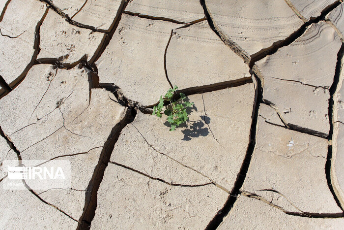 چکمه‌های خود را غلاف کنید؛ زمستانی کم بارش برای سیستان و بلوچستان