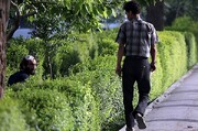 زنگ خطر حضور معتادان تزریقی در بوستان‌های شهری اصفهان