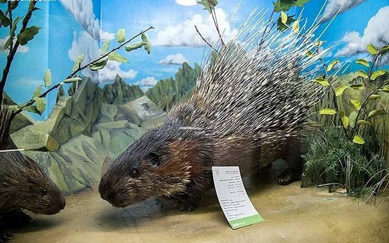 همدان کجا بریم؟