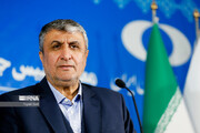 رئيس الطاقة الذرية الايرانية: على المنظمات الدولية أن يخرج عن صمتها بشأن غزة
