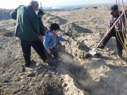 مشارکت اهالی یکی از روستاهای تبریز در کاشت یک میلیارد درخت