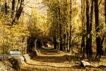 La beauté de l’automne au nord-ouest de l’Iran