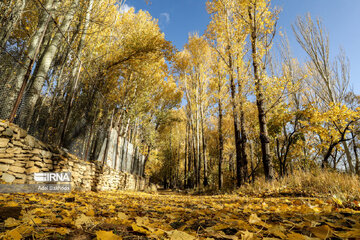 La beauté de l’automne au nord-ouest de l’Iran