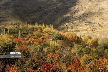 La beauté de l’automne au nord-ouest de l’Iran