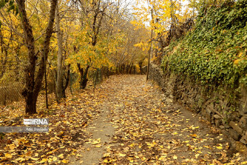 La beauté de l’automne au nord-ouest de l’Iran